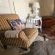 Perlman House - 248617