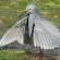 Kwalata Game Lodge - 248629