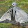 Kwalata Game Lodge - 248629