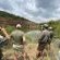 Kwalata Game Lodge - 248630