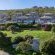 Waves & Whales - 248913