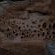 Awelani Lodge - 249031