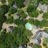 Awelani Lodge - 249039