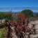 Black Eagle's Rest - 249130