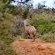 Forest View Luxury Farm Stay - 249248