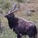 Forest View Luxury Farm Stay - 249249