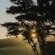 Forest View Luxury Farm Stay - 249253