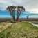 Forest View Luxury Farm Stay - 249257