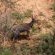 Forest View Luxury Farm Stay - 249259