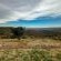 Forest View Luxury Farm Stay - 249263