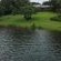 Kruger Island Resort - 249294