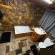 Sundara Safaris - 249541