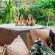 Eden Rock Forest Estate - Holiday Homes - 249591
