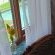 Dolliwarie Guesthouse - 249622
