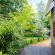Wild Tree Lodge - 249693