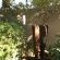 Wild Tree Lodge - 249726