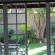 Wild Tree Lodge - 249727