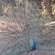 Sundown Lodge and Conference - 249734