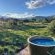 Sani Lodge and Cottages - 249868