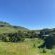 Sani Lodge and Cottages - 249879