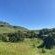 Sani Lodge and Cottages - 249879