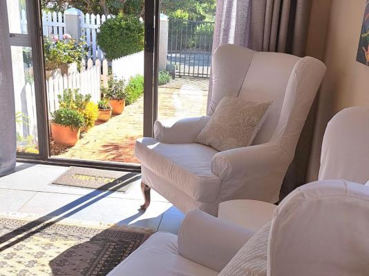 Fig Tree - 249931