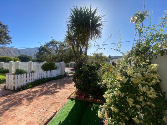 Fig Tree - 249934