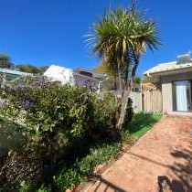 Fig Tree - 249936