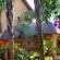 Bohemian Rhapsody Guesthouse