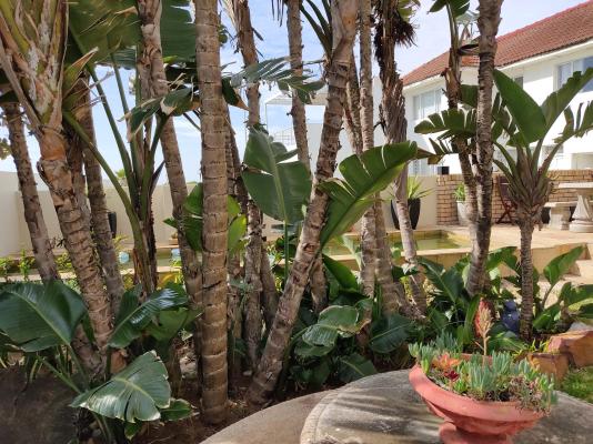 Palm Beach Guesthouse - 250079