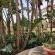 Palm Beach Guesthouse - 250079