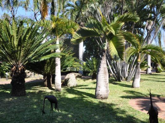 Loerie Lodge Guest House - 250202