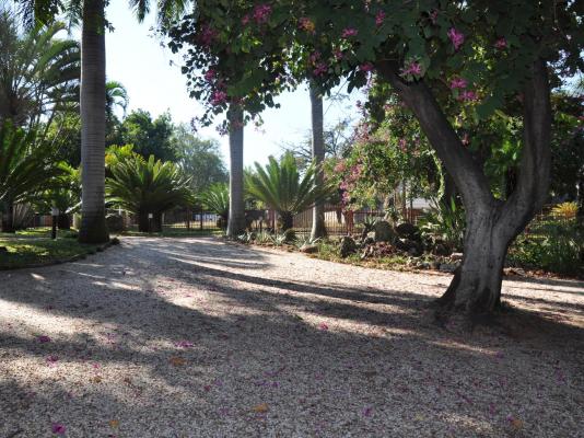 Loerie Lodge Guest House - 250204
