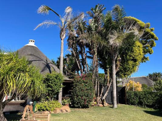 BonBini Guest House - 250338