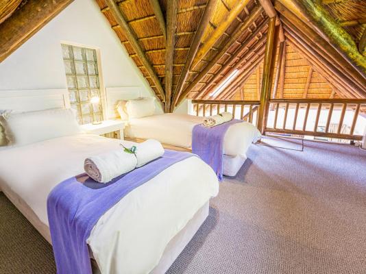BonBini Guest House - 250359