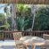 BonBini Guest House - 250389