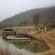 Emahlathini Guest Farm - 250682