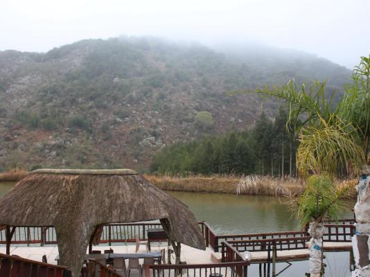 Emahlathini Guest Farm - 250686