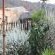 Emahlathini Guest Farm - 250702