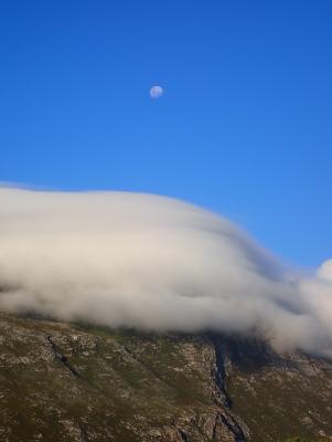 Betty's Bay Cottage - 251175