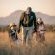 Gondwana Game Reserve  - 251427