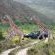 Gondwana Game Reserve  - 251429