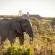 Gondwana Game Reserve  - 251430