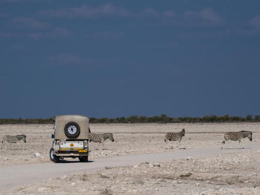 Etosha Safari Lodge - 251562