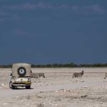 Etosha Safari Lodge - 251562