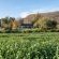 Daniel's Kraal Guest Farm - Property / Building