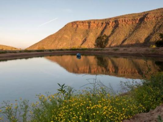 Daniel's Kraal Guest Farm - Garden