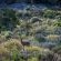 Daniel's Kraal Guest Farm - 251879