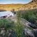 Daniel's Kraal Guest Farm - 251882