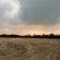 Impala Game Ranch - 252230